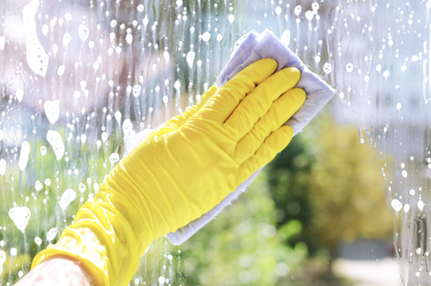 Sustainable Cleaning Practices: Building a Greener Future